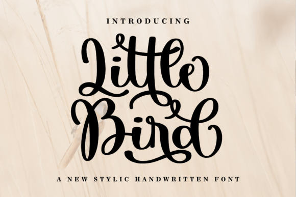 Little Bird: A Script Typeface for Authentic Brand Stories